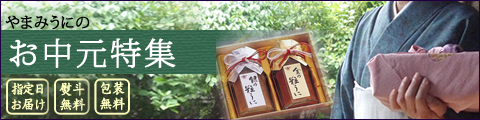 御中元バナー_480