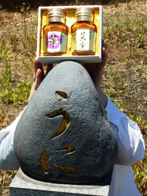 2016御中元｜粒うに発祥の地下関のルーツをさぐる