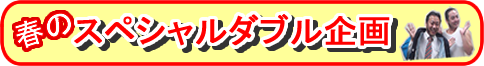 細いバナー480巾_春のスペシャルダブル企画.png