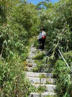 2016御中元｜粒うに発祥の地下関のルーツをさぐる