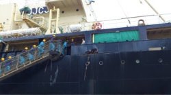 第２６次南極海鯨類捕獲調査団の入港式_4