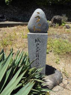 2016御中元｜粒うに発祥の地下関のルーツをさぐる