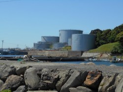 2016御中元｜粒うに発祥の地下関のルーツをさぐる