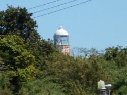 2016御中元｜粒うに発祥の地下関のルーツをさぐる