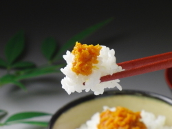 黄金粒うにごはん