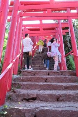 22鳥居もどり.JPG