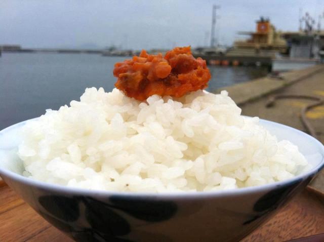 粒うにとごはんと港背景