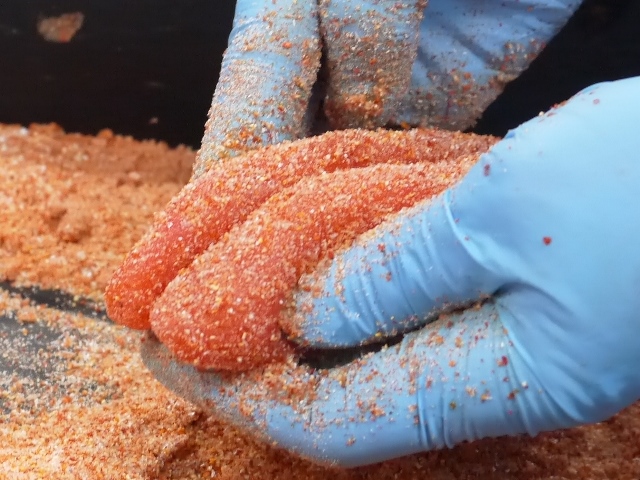 明太子とうにのコラボ