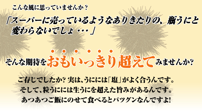 職人塩かげん粒うに商品説明