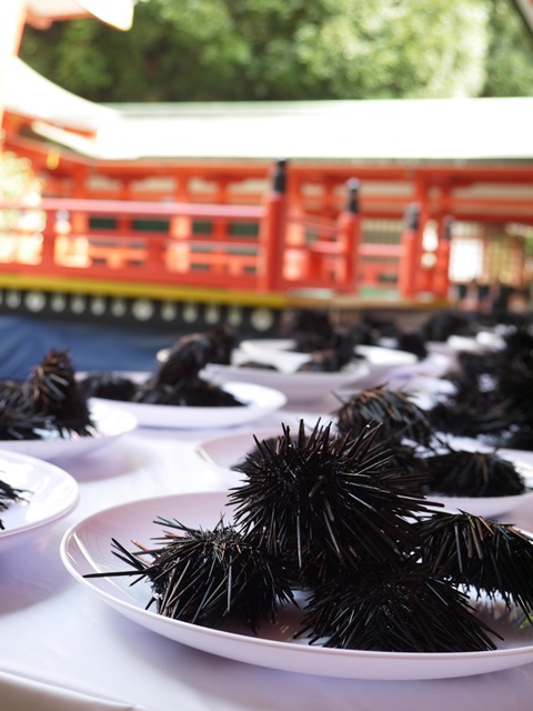 うに供養祭
